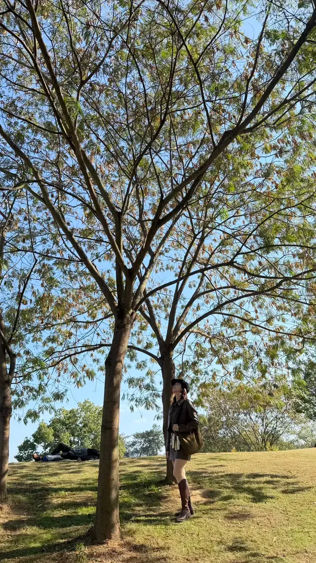 這裡不是瑞士！這裡是千島湖植物園