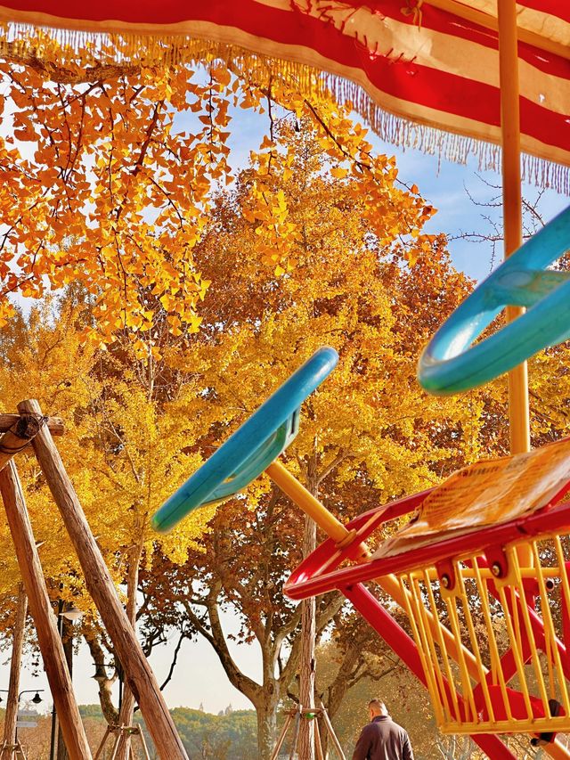 上海秋日頂流|世紀公園銀杏大道美到窒息! 上海秋日頂流|世紀公園銀杏大道美到窒息!