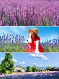 速速保存！夏天去20℃北海道這樣玩封神