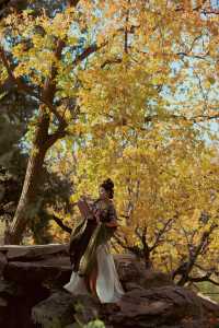 隱藏在北京頤和園裡的賞秋拍照打卡寶藏地。