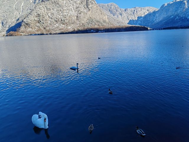 絕美仙境哈爾施塔特的冬日童話世界 絕美仙境哈爾施塔特的冬日童話世界