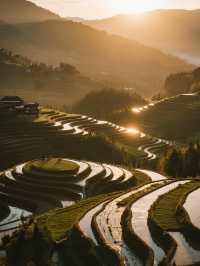 雲和梯田親子慢遊!無車版秋日田園攻略
