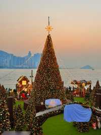 香港西九龍聖誕樹打卡攻略首日亮燈實拍絕了!