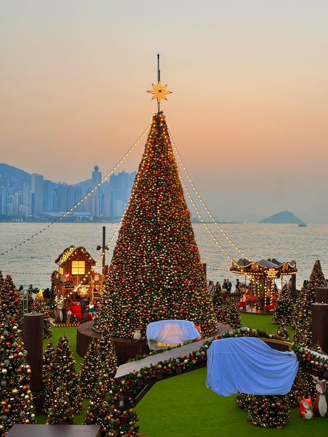 香港西九龍聖誕樹打卡攻略首日亮燈實拍絕了! 香港西九龍聖誕樹打卡攻略首日亮燈實拍絕了!