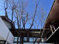 麗江小眾寶藏地！束河秘境民宿特輯