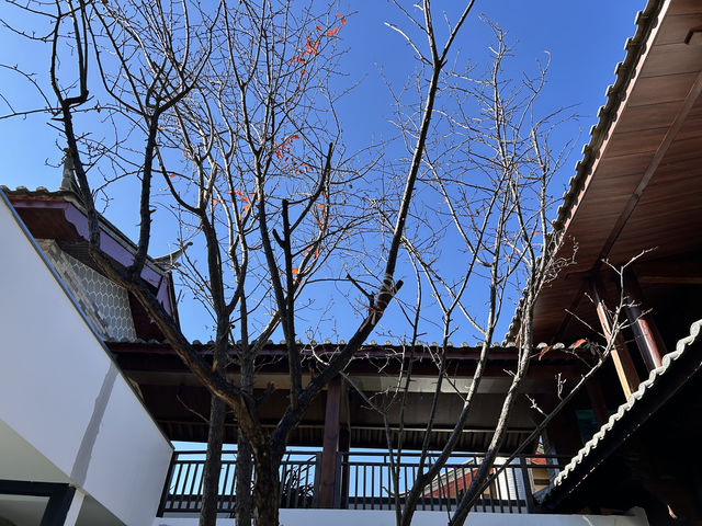 麗江小眾寶藏地！束河秘境民宿特輯