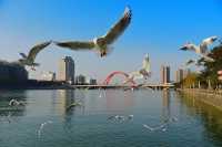 德陽,這座「藏在四川的寶藏城」,你知道它的秘密嗎?