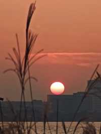 魔都落日秘境滴水湖懸日最佳打卡機位大公開!