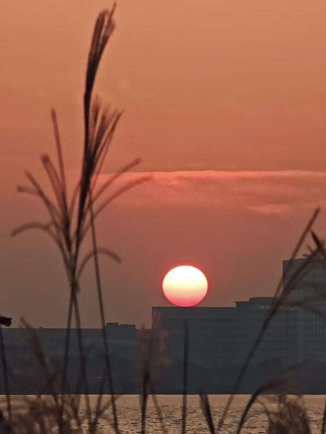 魔都落日秘境滴水湖懸日最佳打卡機位大公開! 魔都落日秘境滴水湖懸日最佳打卡機位大公開!