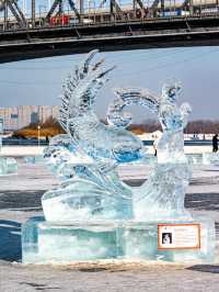 哈爾濱受凍已回,趕緊來避雷吧