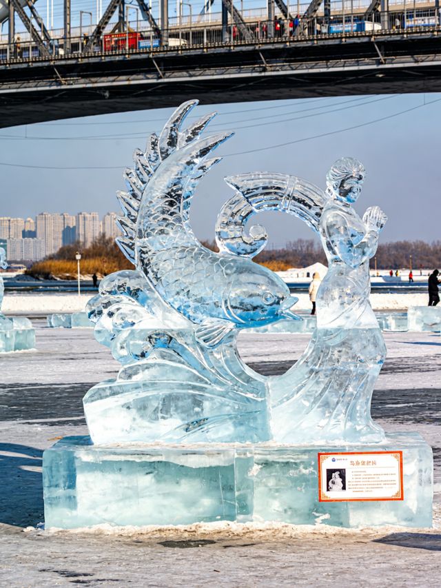 哈爾濱受凍已回,趕緊來避雷吧 哈爾濱受凍已回,趕緊來避雷吧