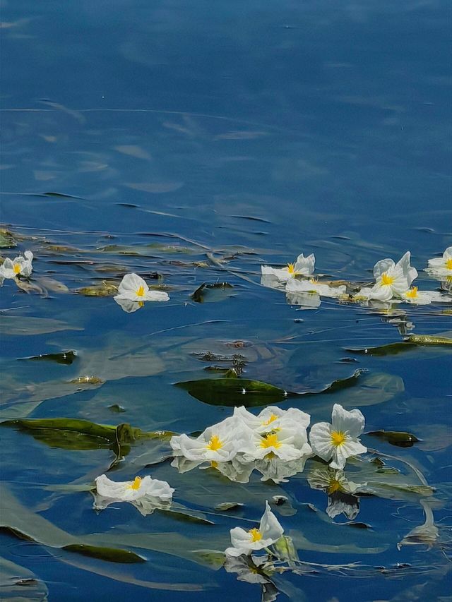 瀘沽湖一日遊精華路線 瀘沽湖一日遊精華路線
