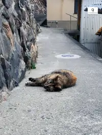 上班族四國三縣旅行｜高松-男木篇