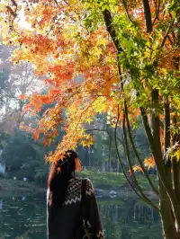 12.1實拍!東湖這棵彩虹樹封神了