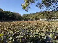 普陀山一日遊實測 普通週末巨大客流