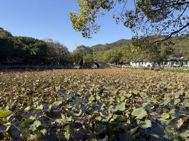 普陀山一日遊實測 普通週末巨大客流 普陀山一日遊實測 普通週末巨大客流