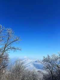 冰雪奇緣龍王山徒步踏, 雪賞霧淞