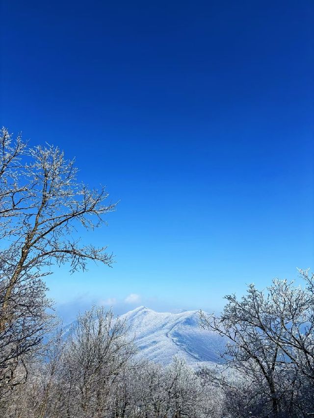 冰雪奇緣龍王山徒步踏, 雪賞霧淞 冰雪奇緣龍王山徒步踏, 雪賞霧淞