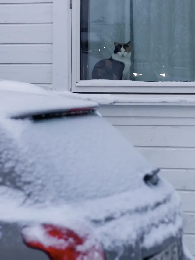 挪威｜12天11晚我還是過於適合做攻略了！