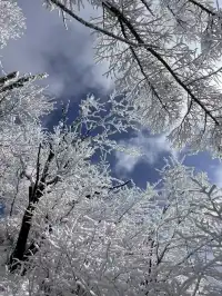 12月中莽山現狀,冷到哭,崩潰到想逃...