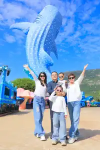 11月來長隆也太爽了