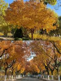 廊坊冬日秘境大公開！這6個小眾地拍照絕了