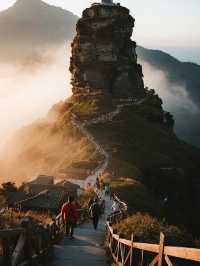 昆明高鐵1h 冬日抹茶親子遊治癒攻略