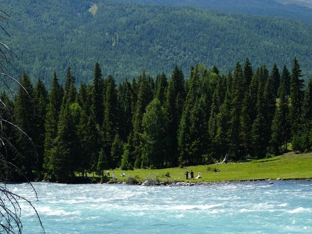 喀納斯冬季必打卡 喀納斯冬季必打卡