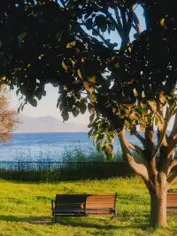 浪漫是大理的常態🩵