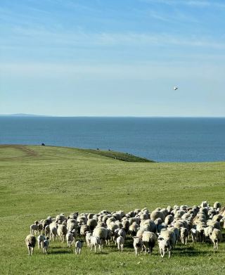 Hulunbuir Summer Relaxation Guide, Check in All the Stunning Grassland Scenery!