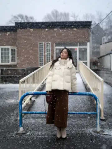 北海道雪又開始下了。