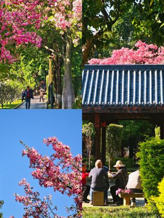 겨울철 역방향 여행: 가성비 좋은 소도시에서 저렴하게 즐기는 여행!