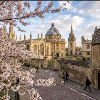 Rute Sewa Mobil Menikmati Sakura di Inggris April-Mei, 