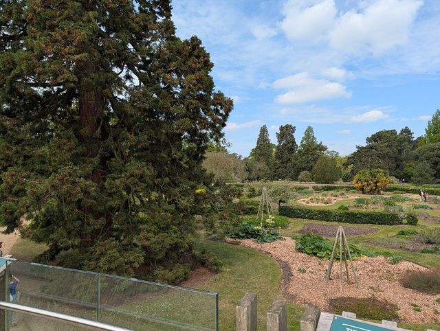 Peaceful Garden with Diverse Plants