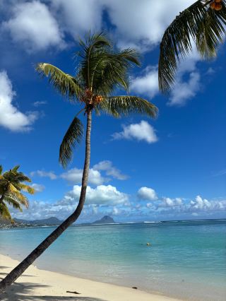 Exceptional Stay at Sugar Beach
