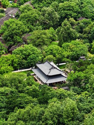 泛舟九曲溪，闖入武夷山「碧水丹岩」山水畫