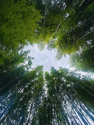 這次是一個人報名來日本,整體體驗很不錯。城市乾淨有序,獨行友善,吃飯、交通對單人遊客都很包容,深夜出