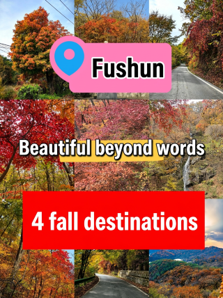 Autumn in Fushun | Sankaishi's red leaves are turning, Sarhu's ginkgo trees are turning gold—time to explore