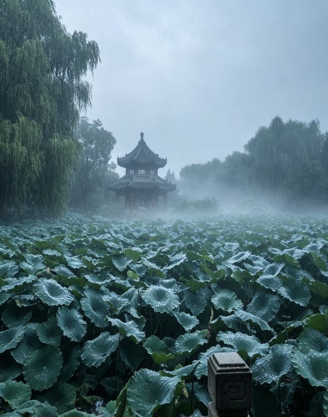 雨落蓮池,赴一場千年書院的水墨清歡