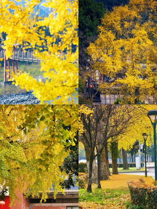 September–October, I've returned from Dujiangyan, and I really don't recommend going, because it's just...