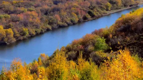Ergun Wetland Photo Spots — traveler post in Genhe