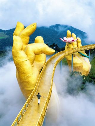 You get it! This place has totally nailed the thrill of the Zhejiang wilderness