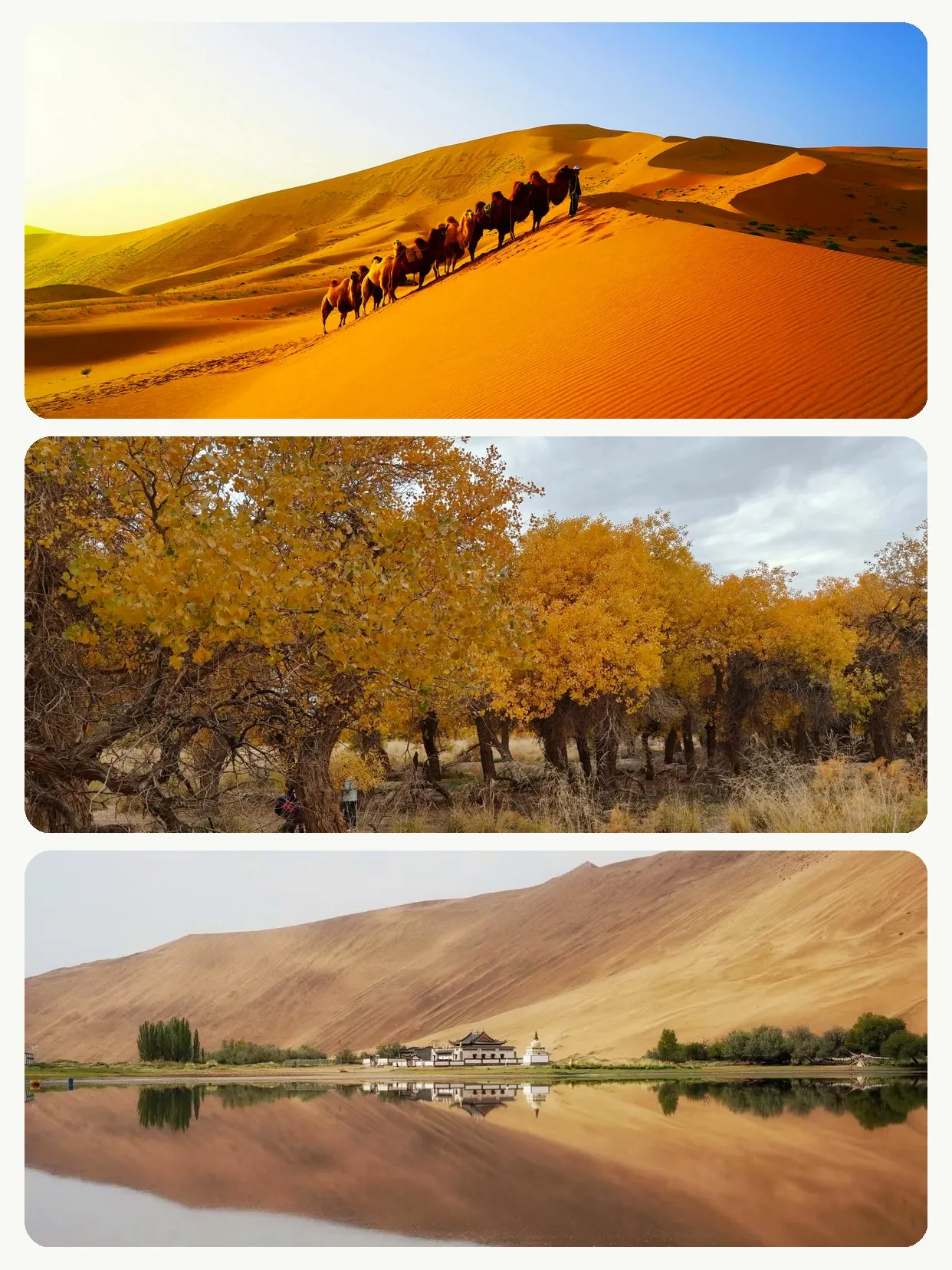 Great places to take your parents for a relaxed National Day trip—no exhaustion involved.