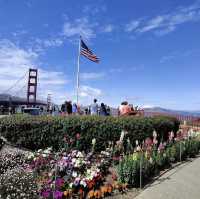 Beautiful bridge in the Bay Area 