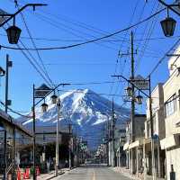 Fujisan & ueno park 