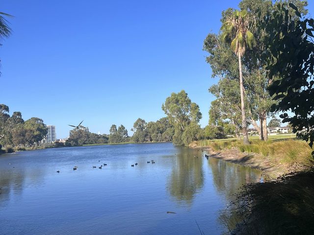 Lake Douglas, Swan Canning Riverpark😎📸🤩