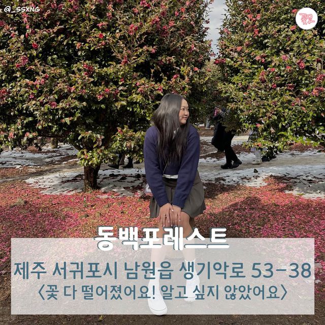 여행 뉴스 카드로 알아보는 제주도 2박 3일 코스