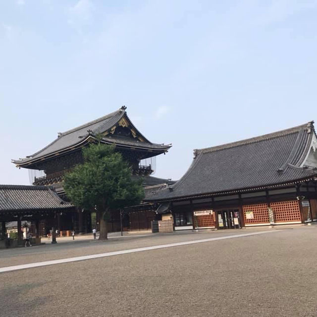 京都東本願寺‼️ 賞楓葉🍁之處