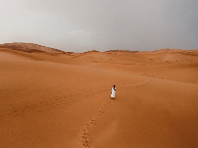 작렬하는 태양의 사하라 사막 🐫🌵