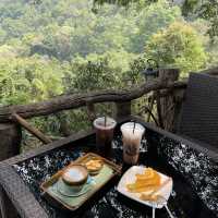 거대한 나무와 마운틴뷰를 즐길 수 있는 The giant chiang mai thailand cafe